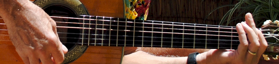 Professional Acoustic Guitar Player