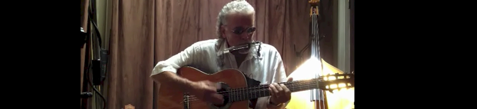 Harmonica Player and Singer